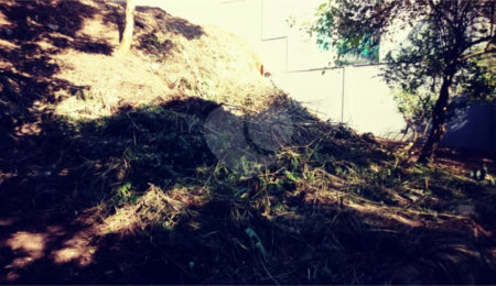 Terreno à venda em Tremembé, São Paulo, SP