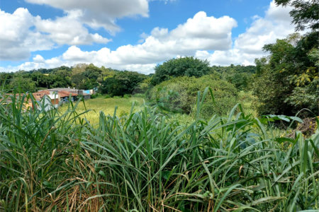 Terreno à venda em Abadia, Louveira, SP