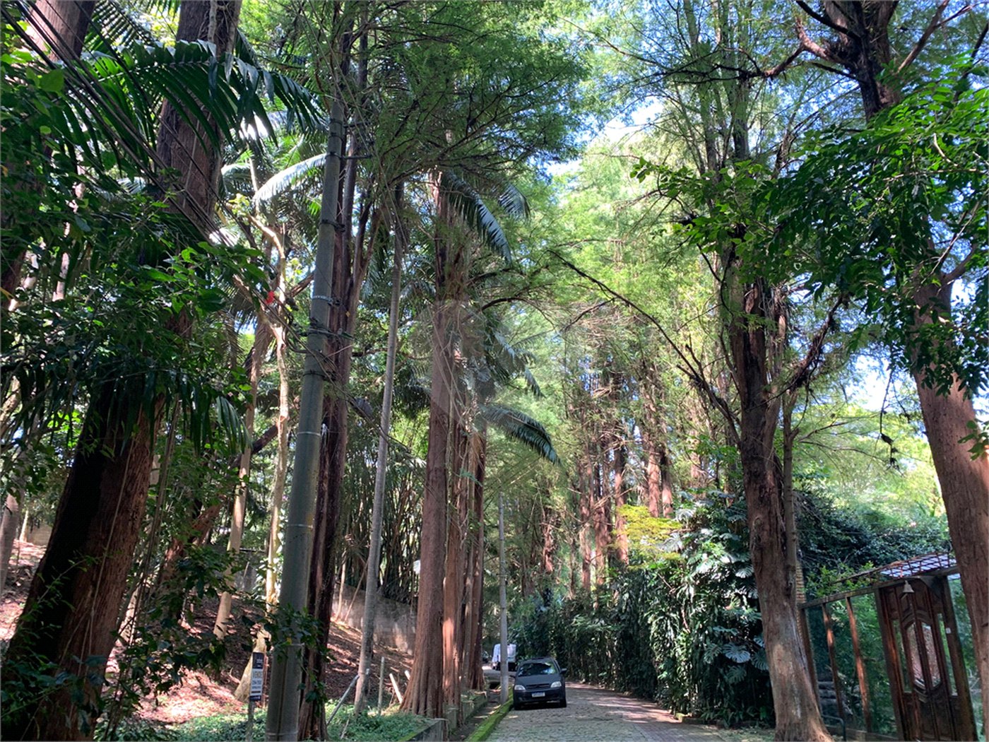 Terreno à venda no condomínio Chácara Flora, São Paulo - SP