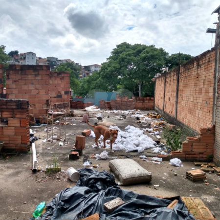 Casa à venda com 1 quarto em Vila Maria Alta, São Paulo, SP