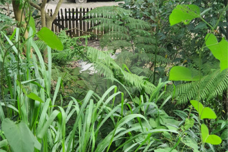 Loteamento à venda em Jardim Amália, São Paulo, SP