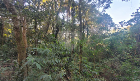Terreno à venda em Serra da Cantareira, Mairiporã, SP