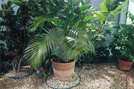 Sobrado à venda com 4 quartos, sendo 3 suítes, em Jardim Paulistano, Ribeirão Preto, SP