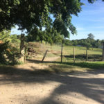 Terreno à venda em Chaperó, Itaguaí, RJ