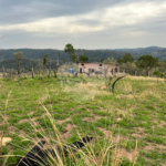 Terreno à venda em Recanto das Acácias, São Roque, SP