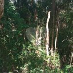 Terreno à venda no condomínio Residencial Bosque da Serra, Mairiporã - SP