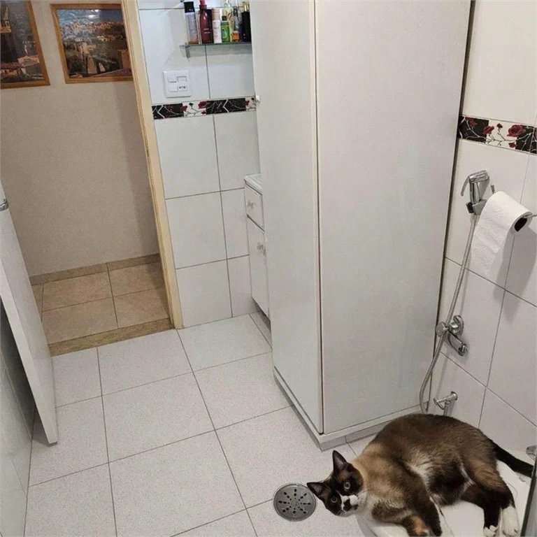Apartamento à venda com 2 quartos em Pinheiros, São Paulo, SP