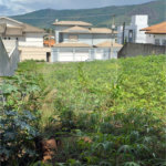 Terreno à venda em Jardim do Lago, Atibaia, SP