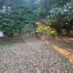 Terreno à venda em Jardim dos Estados, Ponta Porã, MS