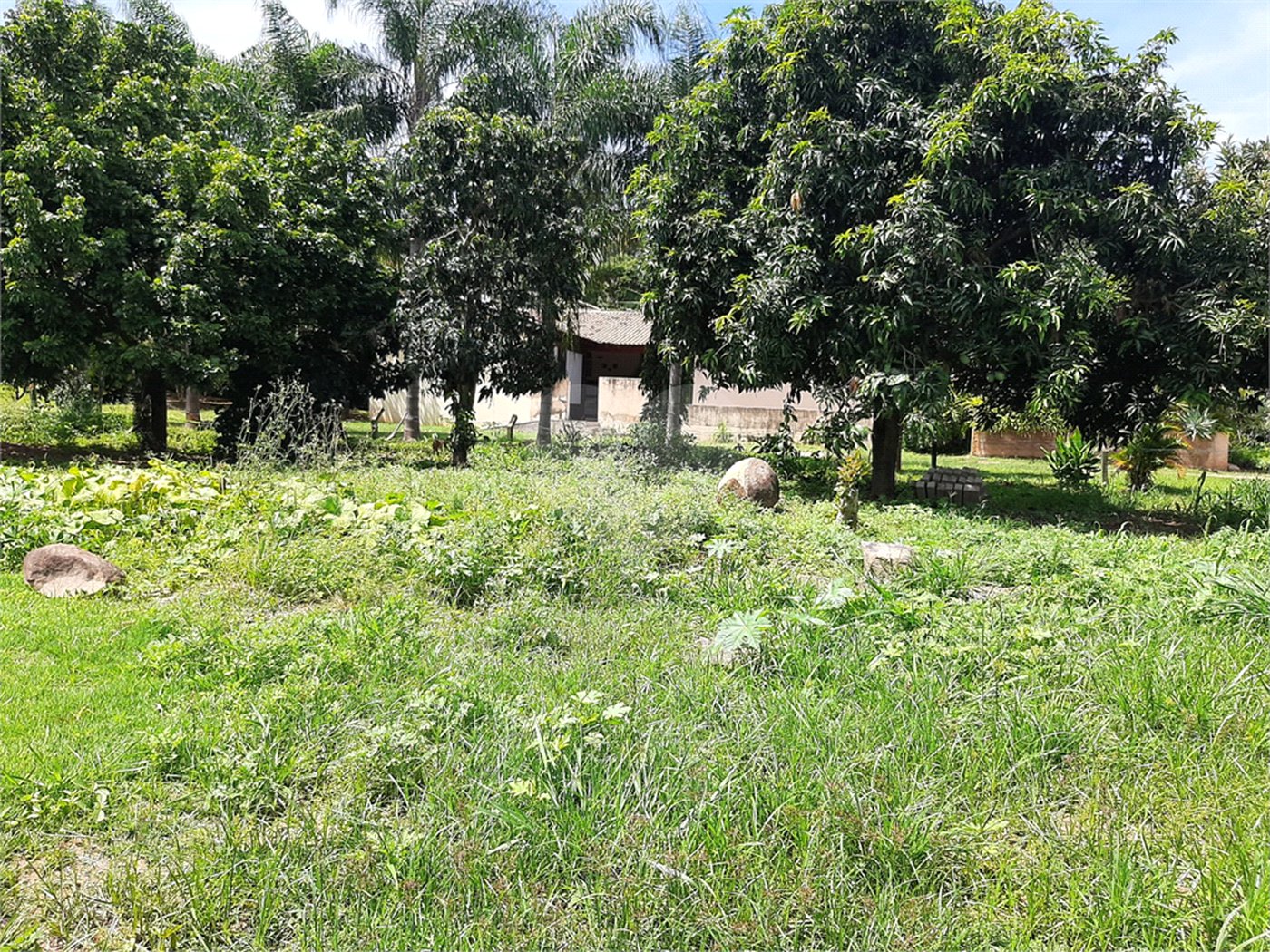 Terreno à venda em Cachoeira, Vinhedo, SP