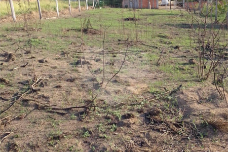 Terreno à venda em Jardim Aracy, Mogi das Cruzes, SP