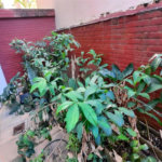 Apartamento à venda com 4 quartos em Vila Isabel, Rio de Janeiro, RJ