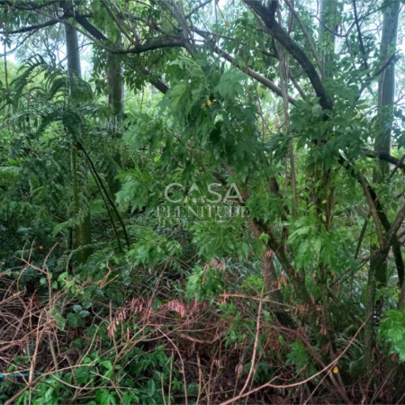Terreno à venda em Recanto do Jataí, Sorocaba, SP