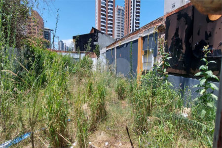 Terreno à venda ou para alugar em Chácara Santo Antônio, São Paulo, SP