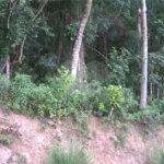 Terreno à venda em Serra da Cantareira, Mairiporã, SP