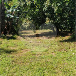 Chácara à venda com 5 quartos, sendo 1 suíte, em Estância São Luís, Suzano, SP