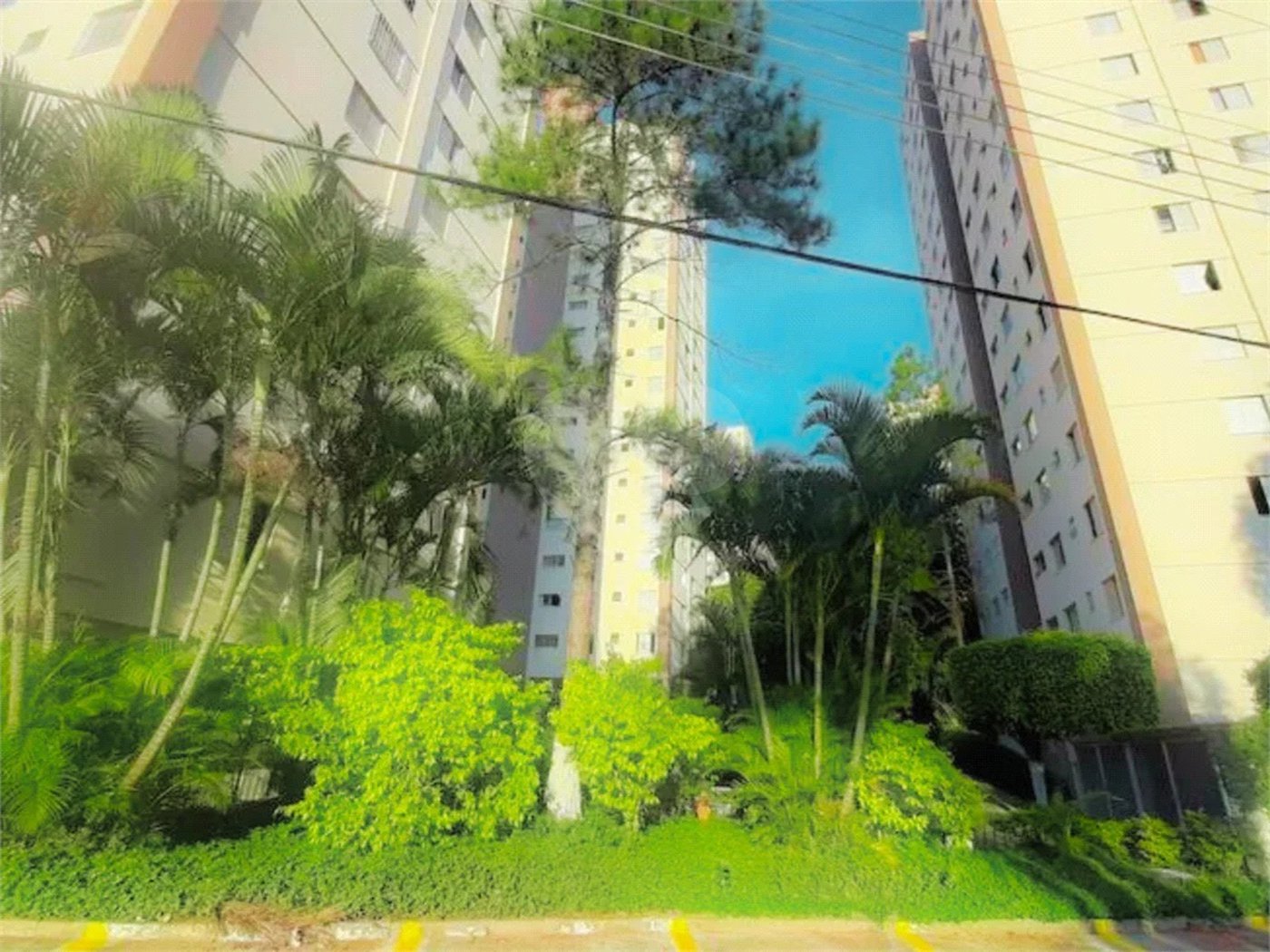 Apartamento à venda com 2 quartos em Horto Florestal, São Paulo, SP