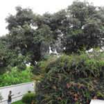 Casa Térrea à venda com 3 suítes em Tremembé, São Paulo, SP