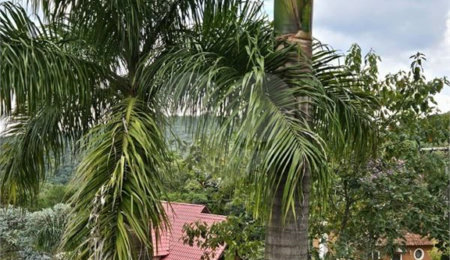 Casa à venda com 3 quartos, sendo 1 suíte,  no condomínio Clube de Campo Fazenda Tabarã, Mairiporã - SP