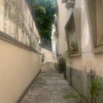 Apartamento à venda com 2 quartos em Rio Comprido, Rio de Janeiro, RJ
