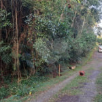 Terreno à venda no condomínio Associação Reserva das Hortênsias, Mairiporã - SP