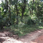 Terreno à venda em Serra da Cantareira, Mairiporã, SP