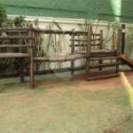 Apartamento à venda com 3 quartos, sendo 2 suítes,  em Granja Julieta, São Paulo, SP