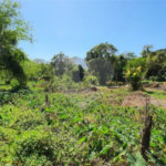 Terreno à venda em Sertão do Camburi, São Sebastião, SP