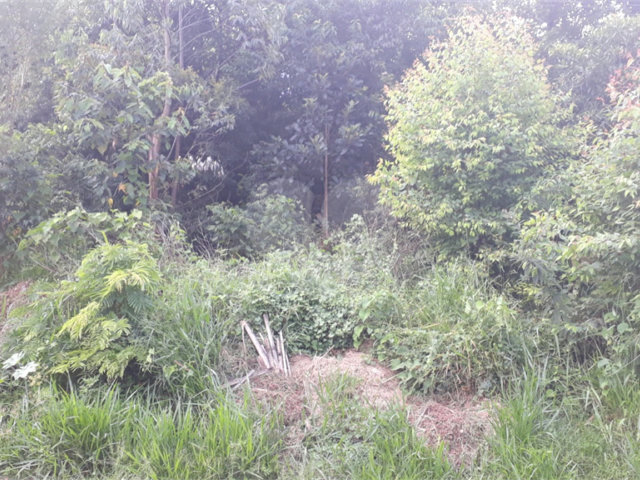 Terreno à venda em Capoavinha, Mairiporã, SP