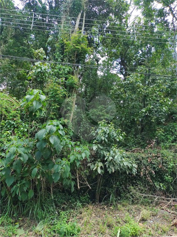 Terreno à venda em Serra da Cantareira, Mairiporã, SP