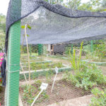 Casa à venda ou para alugar com 5 suítes no condomínio Altos de São Roque, São Roque - SP