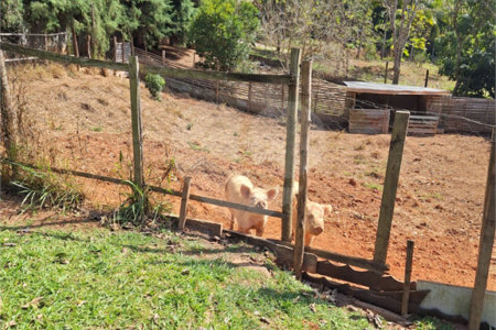 Chácara à venda ou para alugar com 3 quartos, sendo 1 suíte,  em Parque Residencial Itapeti, Mogi das Cruzes, SP