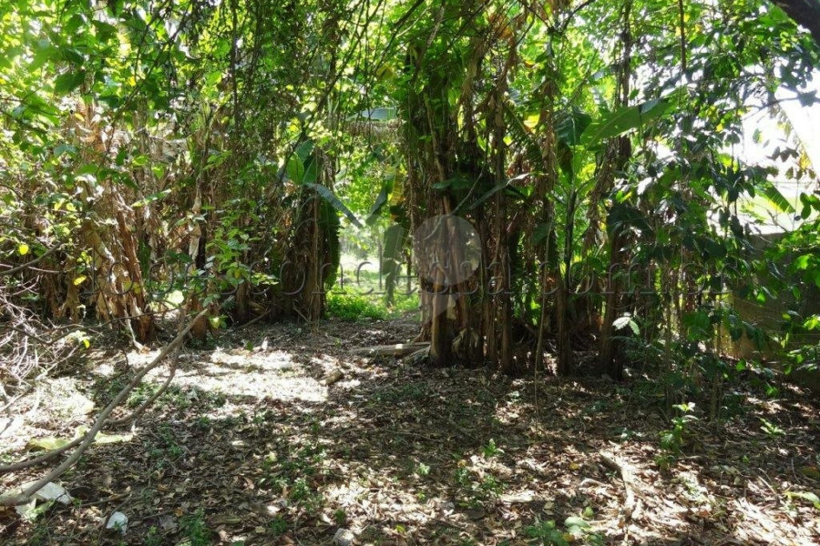 Terreno à venda em Horto Florestal, São Paulo, SP