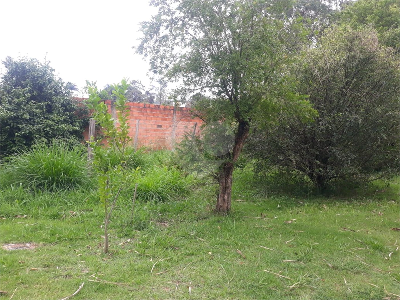 Terreno para alugar em Jardim Rene, São Roque, SP