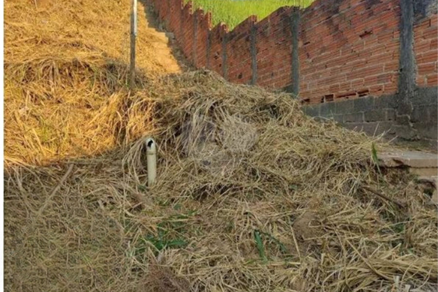 Terreno à venda em Limão, São Paulo, SP