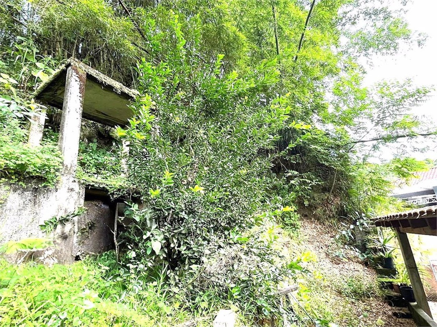 Terreno Residencial à venda, Morro de Nova Cintra, Santos - TE0034.