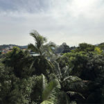 Casa à venda com 2 suítes no condomínio Village Palmas, São Paulo - SP