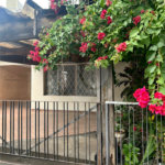 Casa à venda com 3 quartos em Jardim da Saúde, São Paulo, SP