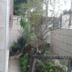 Sobrado à venda com 3 quartos em Casa Verde, São Paulo, SP