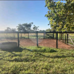 Chácara à venda com 6 quartos no Centro, Terenos, MS