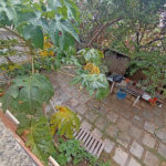 Casa à venda com 3 quartos no condomínio Não Tem Nome, Rio de Janeiro - RJ