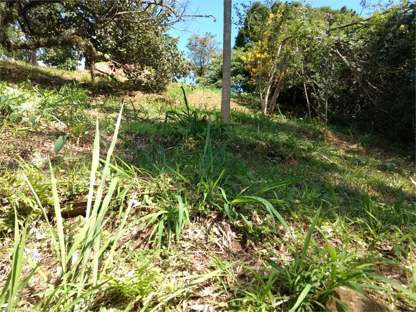 Terreno à venda em Jardim Morumbi, São Paulo, SP