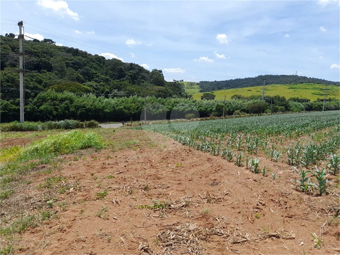 Área de Terra à venda em Paraíso das Aves, Itatiba, SP