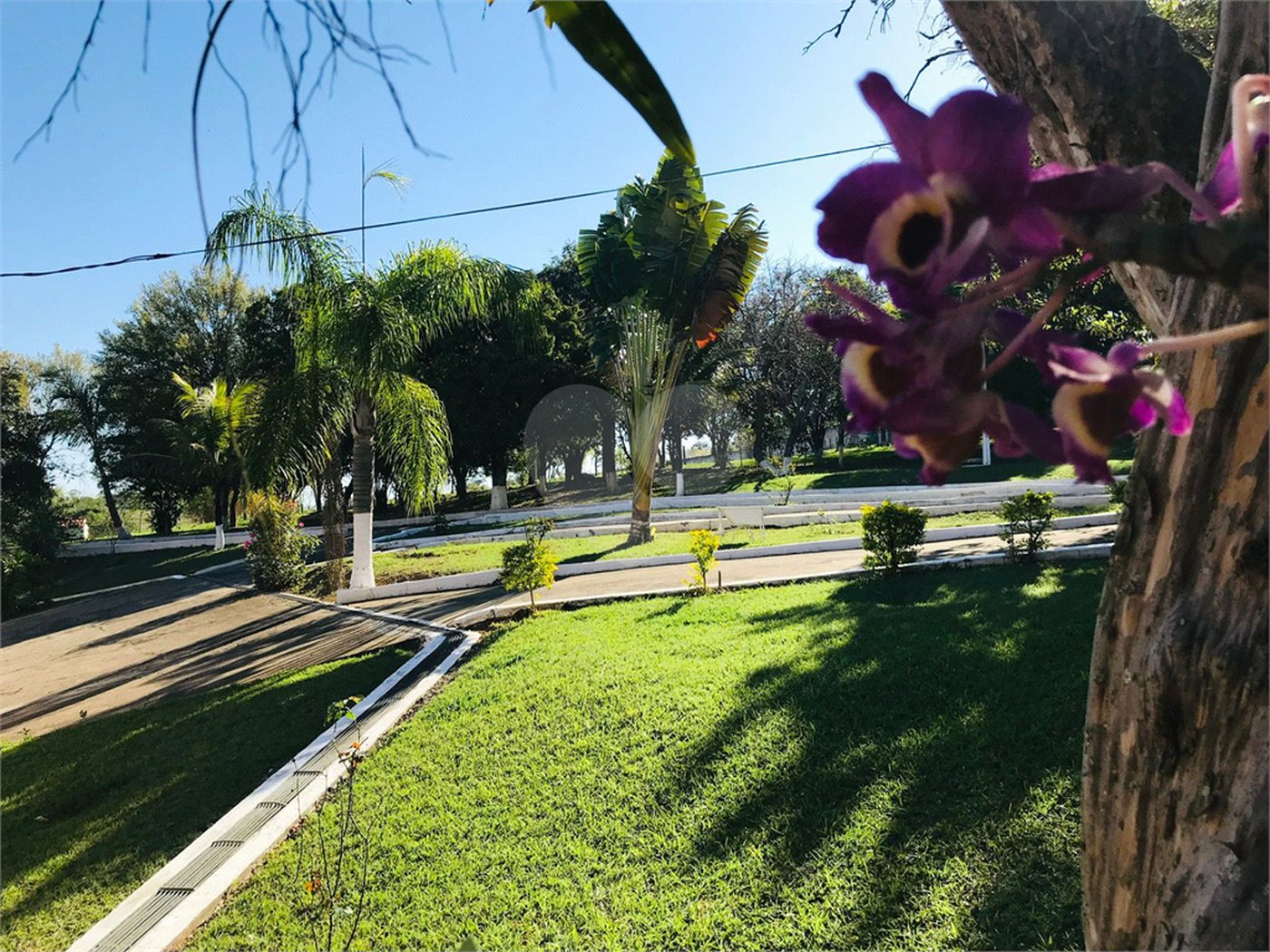 Sítio à venda com 6 suítes em Vila Zalla, Laranjal Paulista, SP