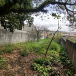 Terreno à venda com 2 quartos em Artur Alvim, São Paulo, SP