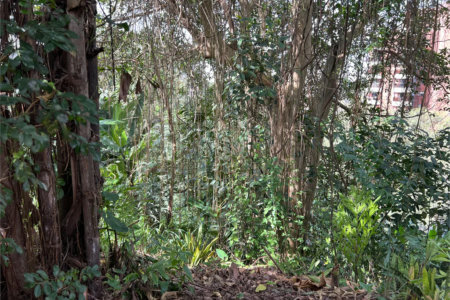 Terreno à venda em Paraisópolis, São Paulo, SP