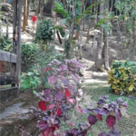Casa à venda com 2 quartos em Caceia, Mairiporã, SP