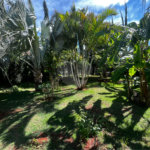 Casa à venda ou para alugar com 2 quartos, sendo 1 suíte,  em Vila Novo Horizonte, Itapetininga, SP