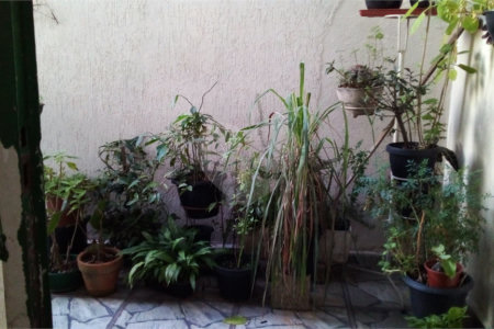 Casa Térrea à venda com 3 quartos em Vila Nova Mazzei, São Paulo, SP