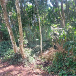 Terreno à venda no condomínio Sausalito, Mairiporã - SP